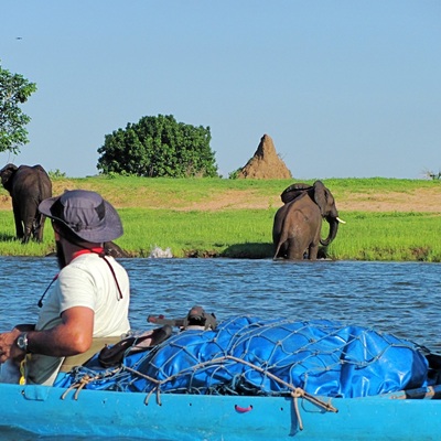 A Day in Matusadona: Where the Wild Still Feels Wild