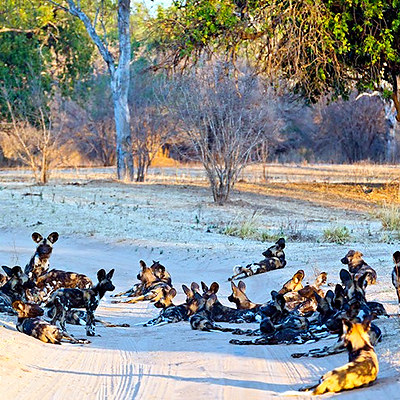 Victoria Falls: An Experience to Remember